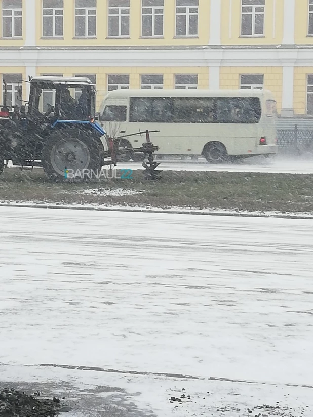 В Барнауле высаживают деревья в замерзшую землю.