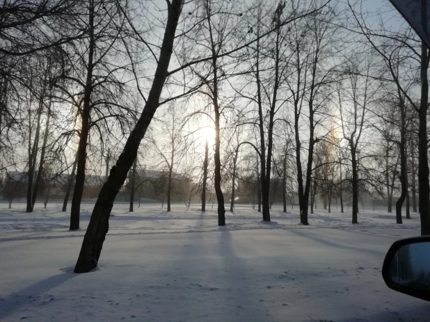 Гало в Барнауле.