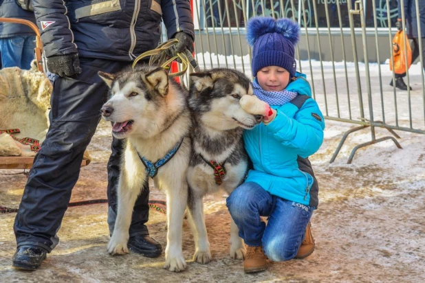 День рождения Деда Мороза.