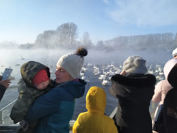 Заказник "Лебединый", 1 декабря 2019 год. 