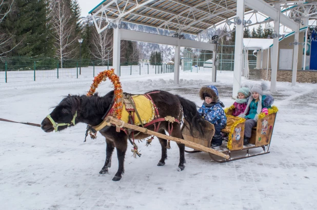 «Алтайская зимовка» на «Бирюзовой Катуни» в 2019 году.