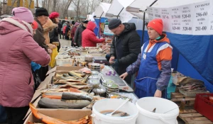 Барнаульские социальные ярмарки признаны лучшими в России.