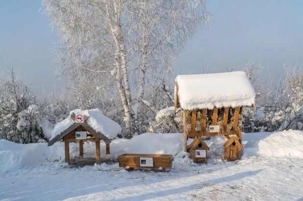 Заказник "Лебединый", 1 декабря 2019 года.