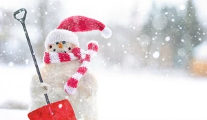 Чемпионат по лепке снеговиков в Барнауле