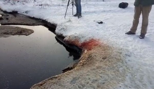 "Кровавое озеро" в Омской области. 