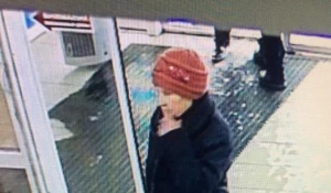 Бийск. Разыскивается пенсионерка.