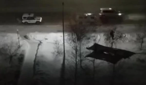 Бийск. Мужчина залез на дерево и рвет рябину.