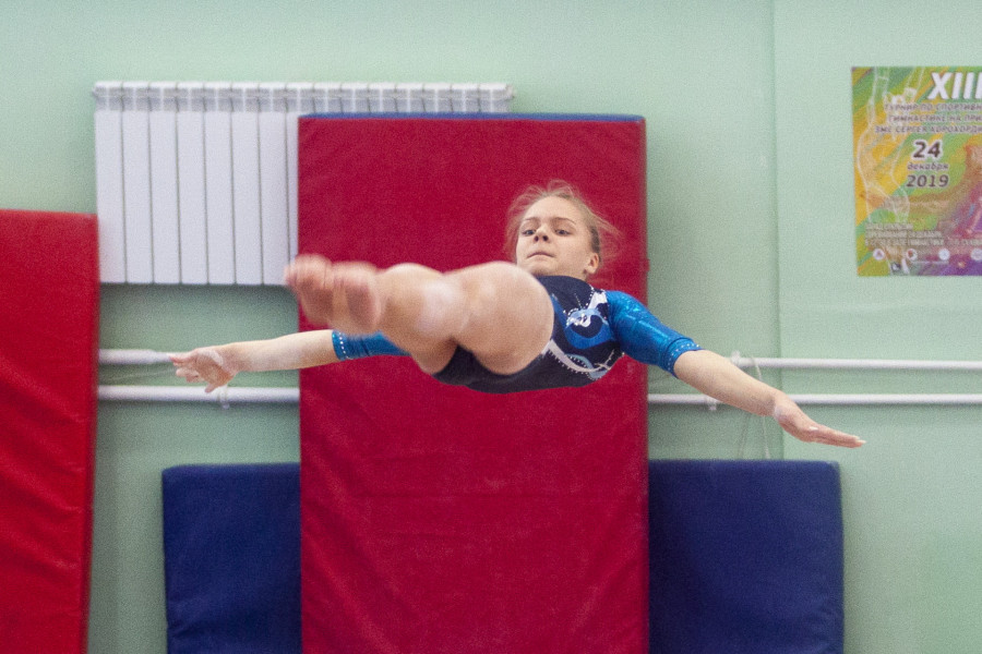 Соревнования по спортивной гимнастике на призы Сергея Хорохордина
