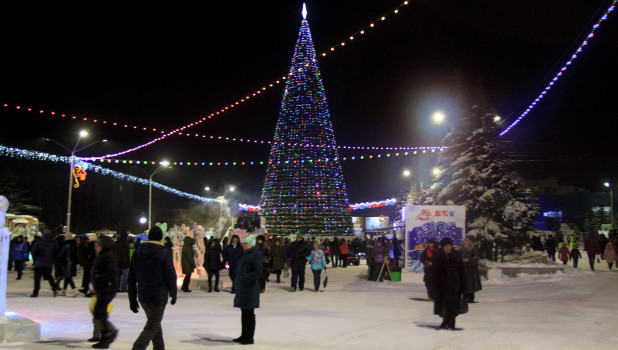 28 декабря в Барнауле на площади Сахарова открылась краевая новогодняя елка.