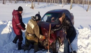 ДТП. Алтайский край.