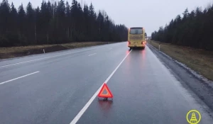 ДТП в Ленобласти.