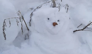 Снег в алтайском селе. Много снега. 