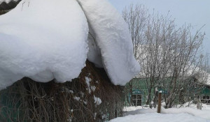 Снег в алтайском селе. Много снега. 
