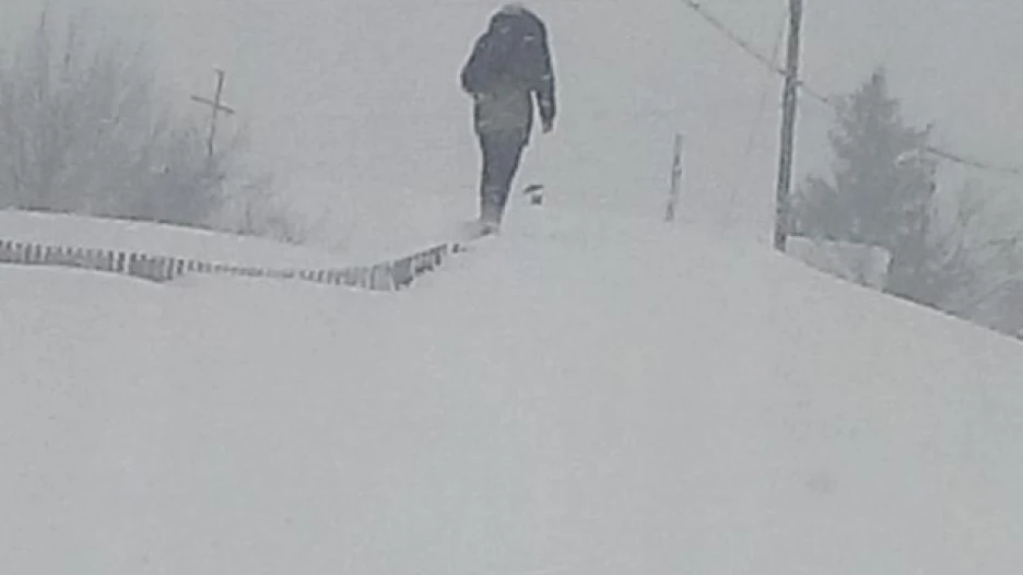 По сугробу вдоль забора, Косиха, 19 января..