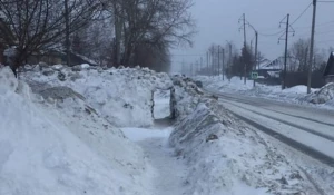 Жители Бийска прокопали ворота в гигантском сугробе на тротуаре. 