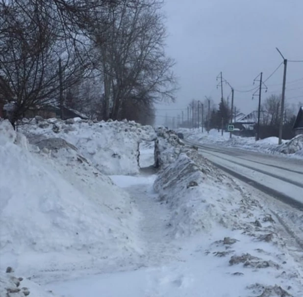 Жители Бийска прокопали ворота в гигантском сугробе на тротуаре. 