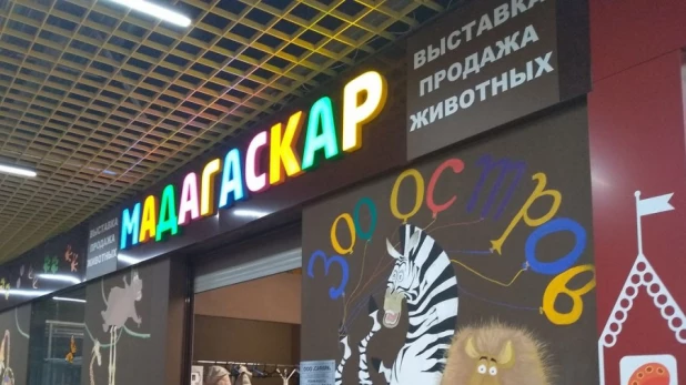 Зоопарк "Мадагаскар".