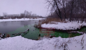 Зеленая река Миасс в Челябинске.
