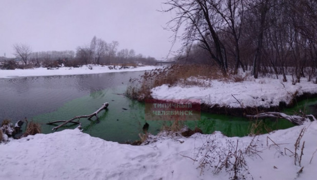 Зеленая река Миасс в Челябинске.