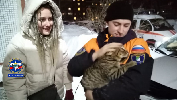 Спасатели вытащили кошку из сливной трубы. Новосибирск.