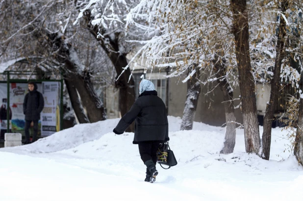 Барнаул в снегу.