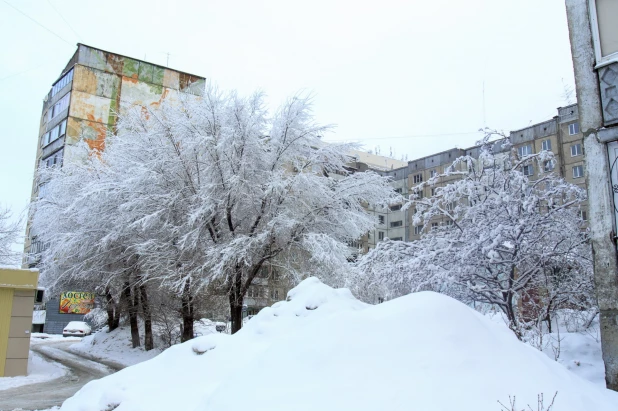 Барнаул в снегу.