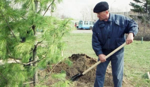 Владимир Баварин, председатель горисполкома, глава городской администрации Барнаула с 1991 по 2003 годы.