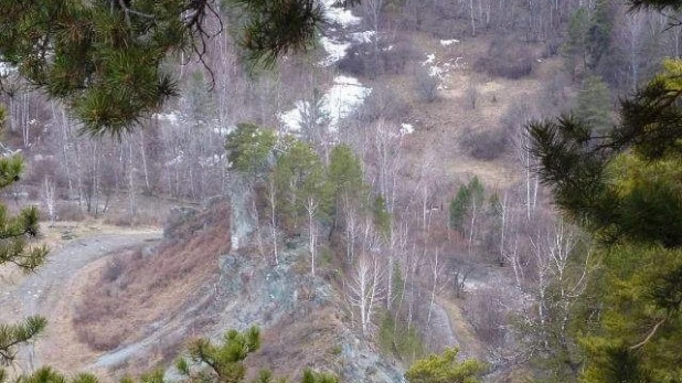 В Алтайском районе Алтайского края.