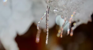 Сосульки, оттепель.