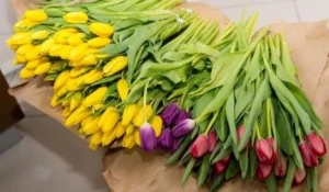 Выходные в марте вместе с ТРЦ!