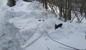 Тело женщины нашел в сугробе житель Новосибирска.