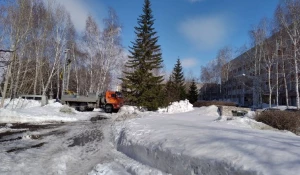 Спецтехника в сквере у корпуса "Д" АлтГУ.