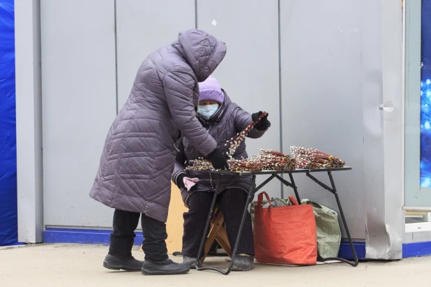 Продажа вербы в Барнауле.