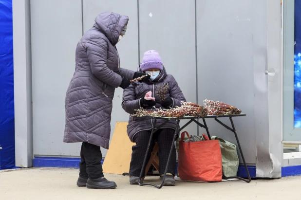 Продажа вербы в Барнауле.