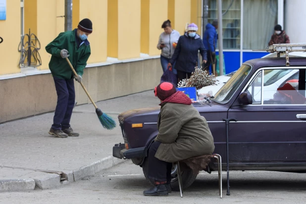 Продажа вербы в Барнауле.