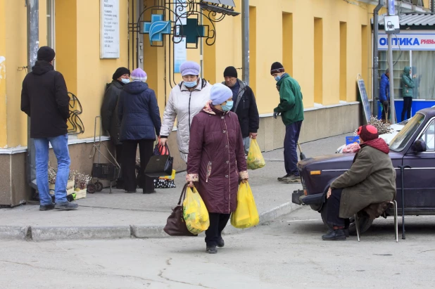 Продажа вербы в Барнауле.