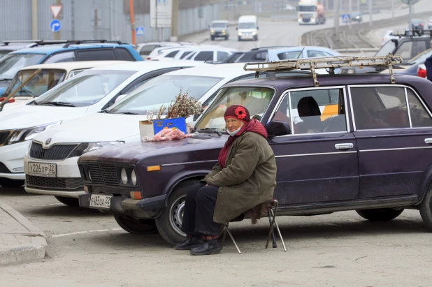 Продажа вербы в Барнауле.