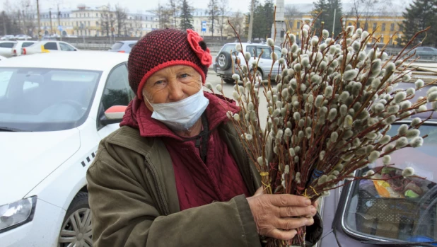 Продажа вербы в Барнауле.