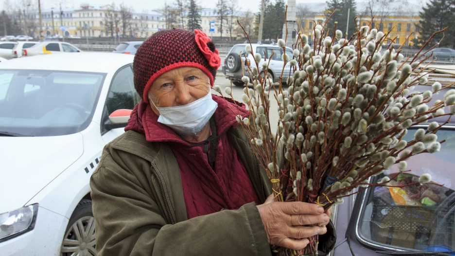 Продажа вербы в Барнауле.