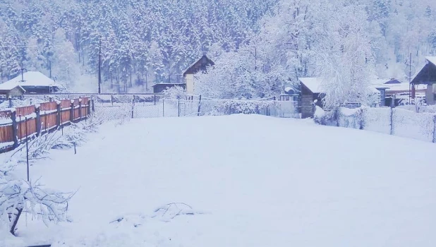 Горный Алтай накрыло снегом в апреле.