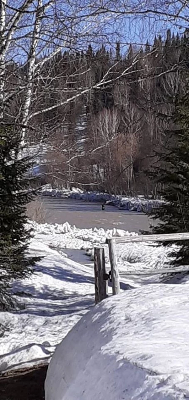 Весна в Тигирекском заповеднике.