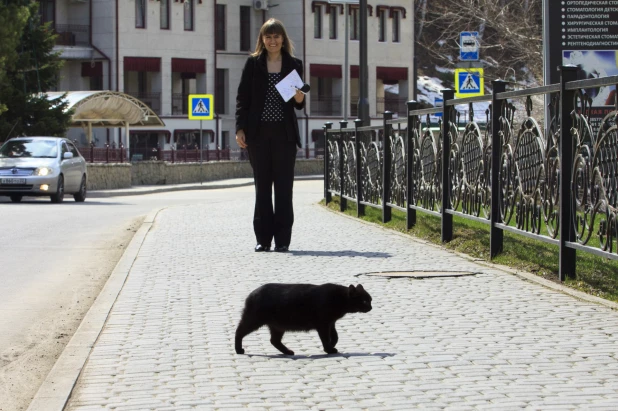 Что происходит в Белокурихе в период пандемии. 