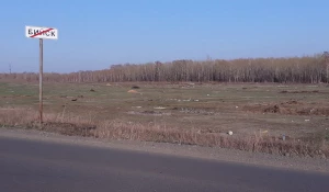 Свалка мусора в пригороде Бийска 