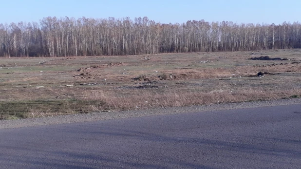 Свалка мусора в пригороде Бийска 