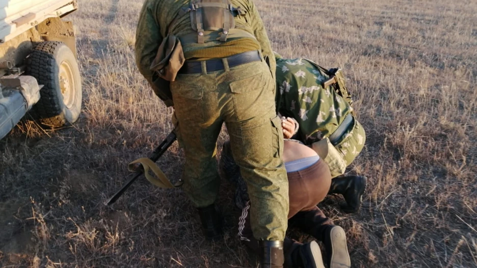 В Алтайском крае задержали злоумышленников, которые пытались вывезти соколов сапсанов.