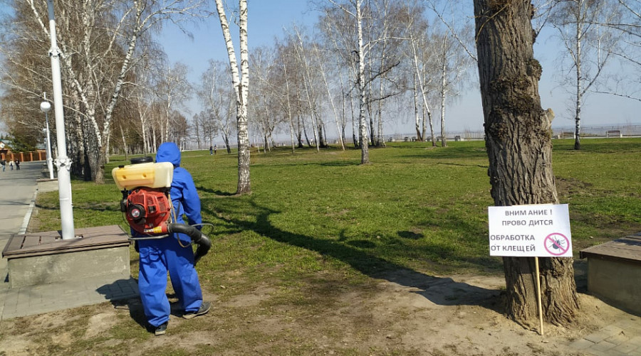 Обработка от клещей в Барнауле.