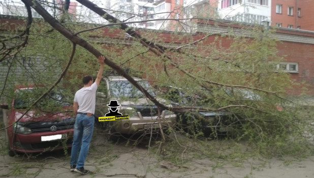 Дерево упало на машины в Барнауле.