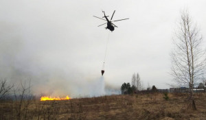 Ликвидация ландшафтных пожаров в Новосибирской области.