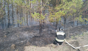 Пожарные борются с возгоранием сухой травы.