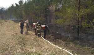 Пожарные борются с возгоранием сухой травы.